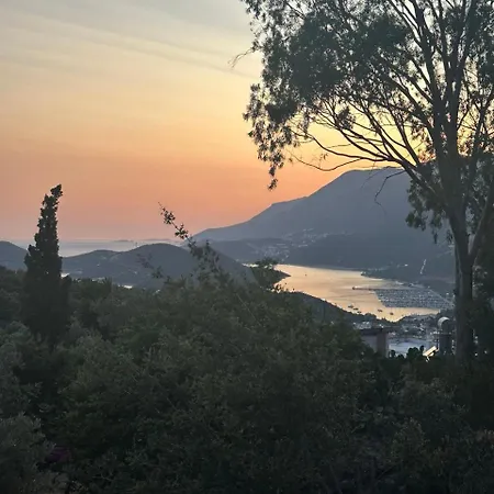 Mey Daire Kaş